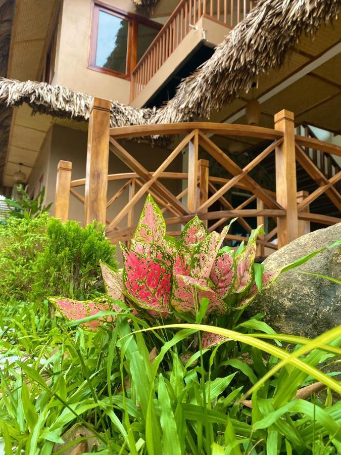 Lemon Tree Homestay Tam Coc Ninh Binh Luaran gambar