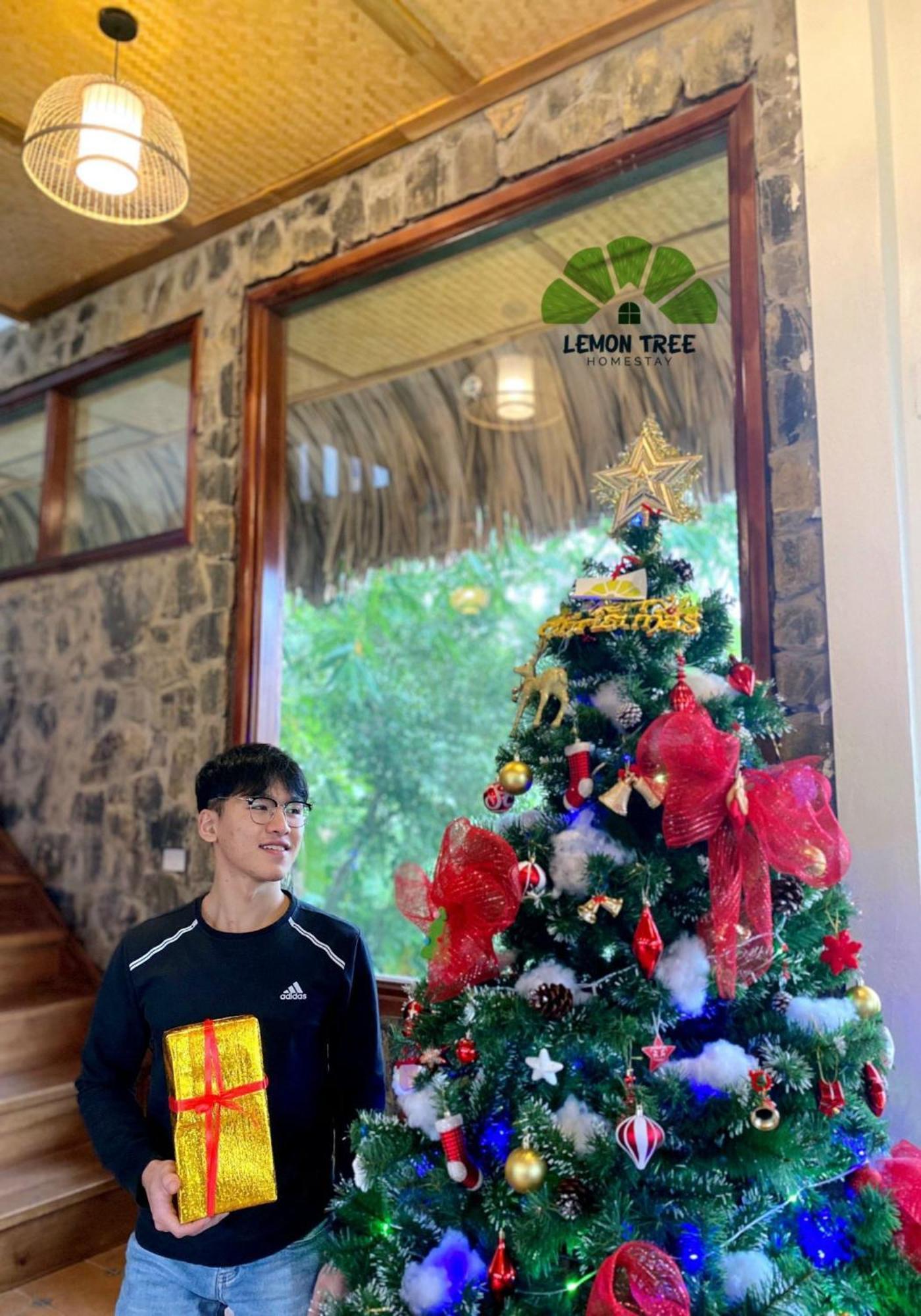 Lemon Tree Homestay Tam Coc Ninh Binh Luaran gambar