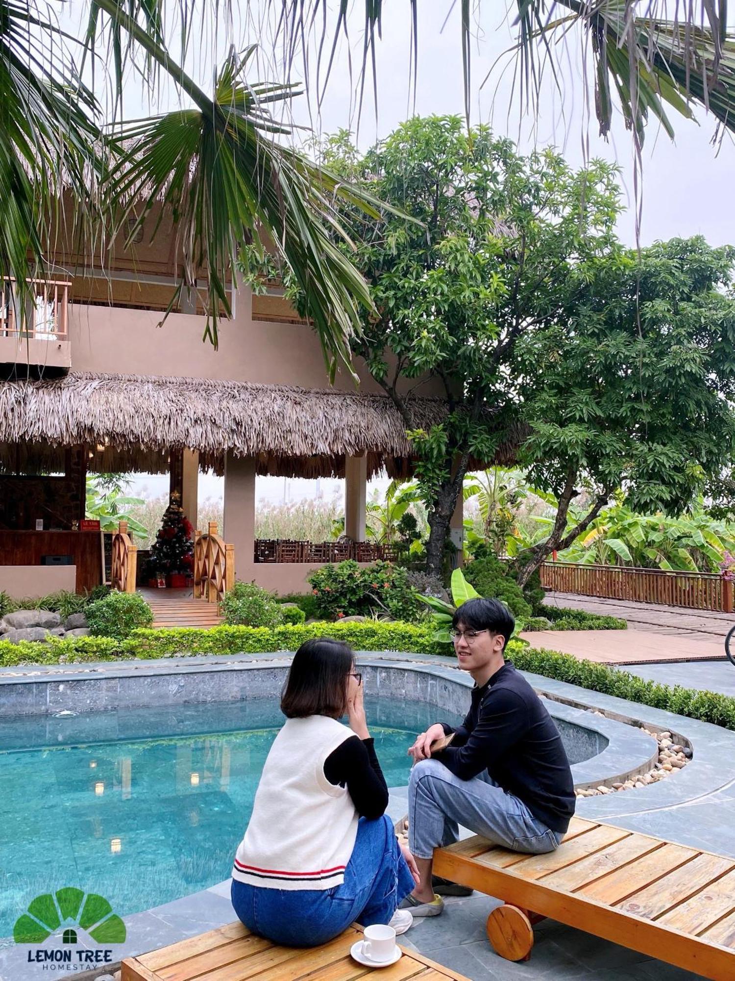 Lemon Tree Homestay Tam Coc Ninh Binh Luaran gambar