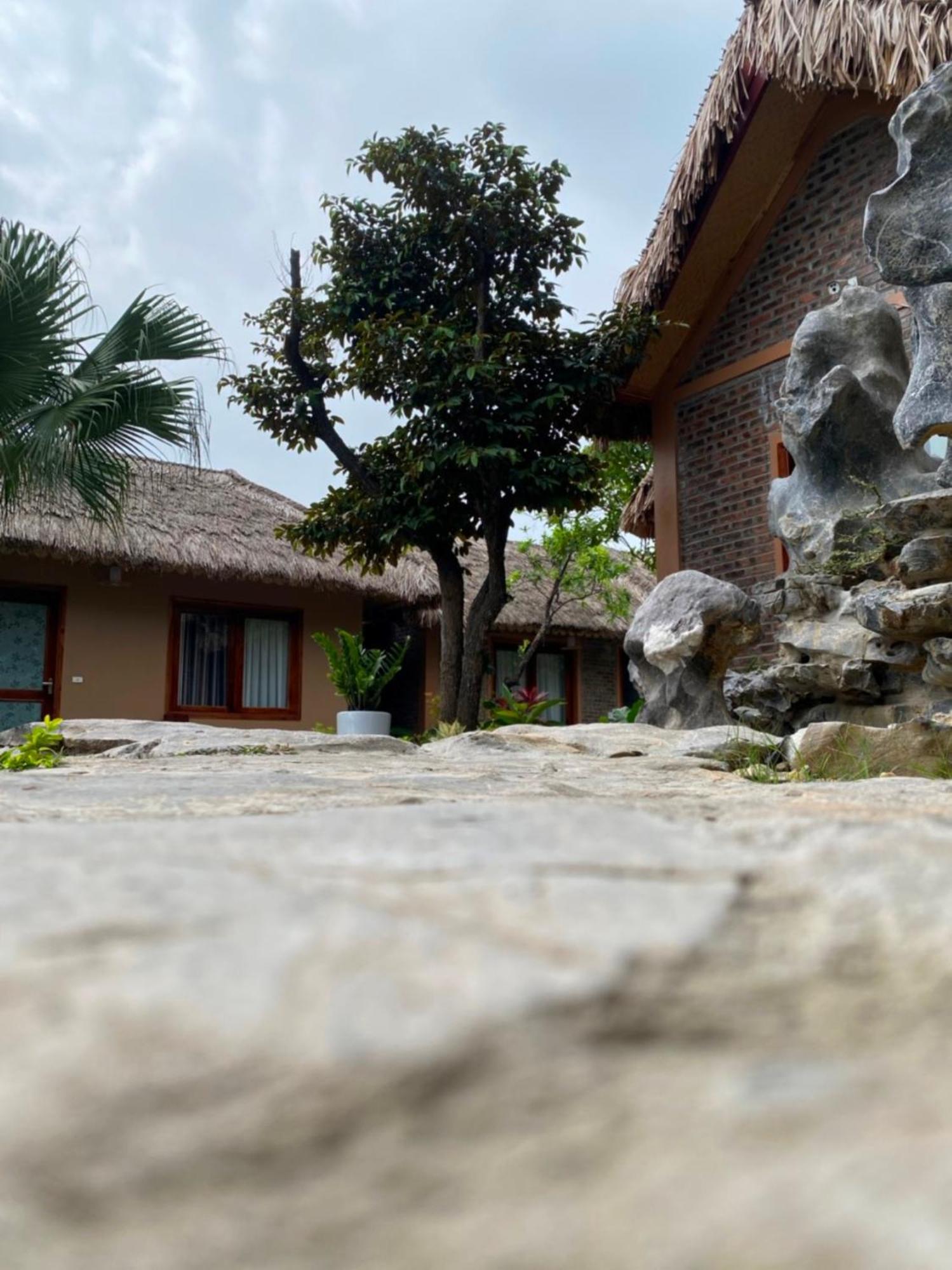 Lemon Tree Homestay Tam Coc Ninh Binh Luaran gambar